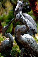 San Antonio Botanical Garden