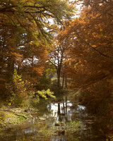 Hill Country